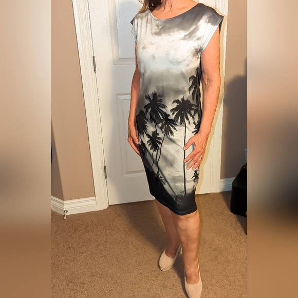 Black & Gray Simon Dress Size M - Picture 1 of 4